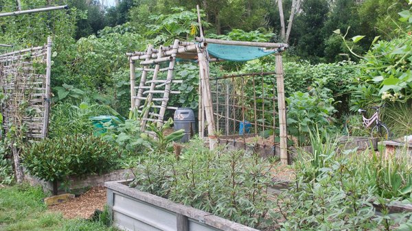 Comment utiliser la permaculture pour un jardin aromatique sur un toit-terrasse?